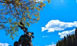 Featured image of post #MotoMontag (85)