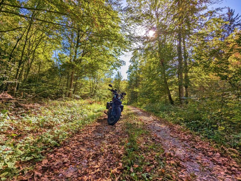 Featured image of post #MotoMontag (96)