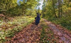 Featured image of post #MotoMontag (96)
