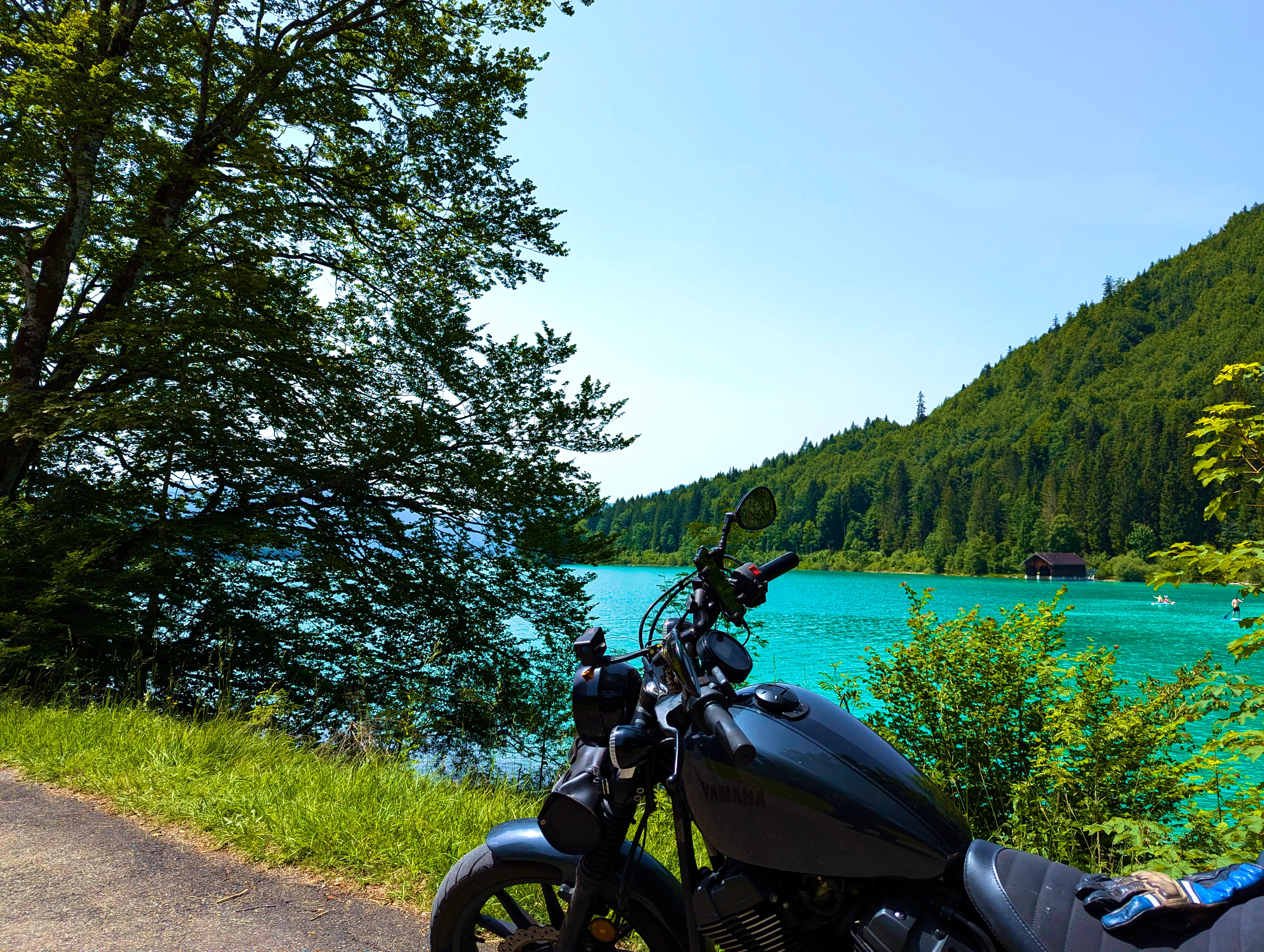 … schön grün …