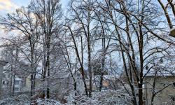 Featured image of post Neuer Schnee Ende Februar