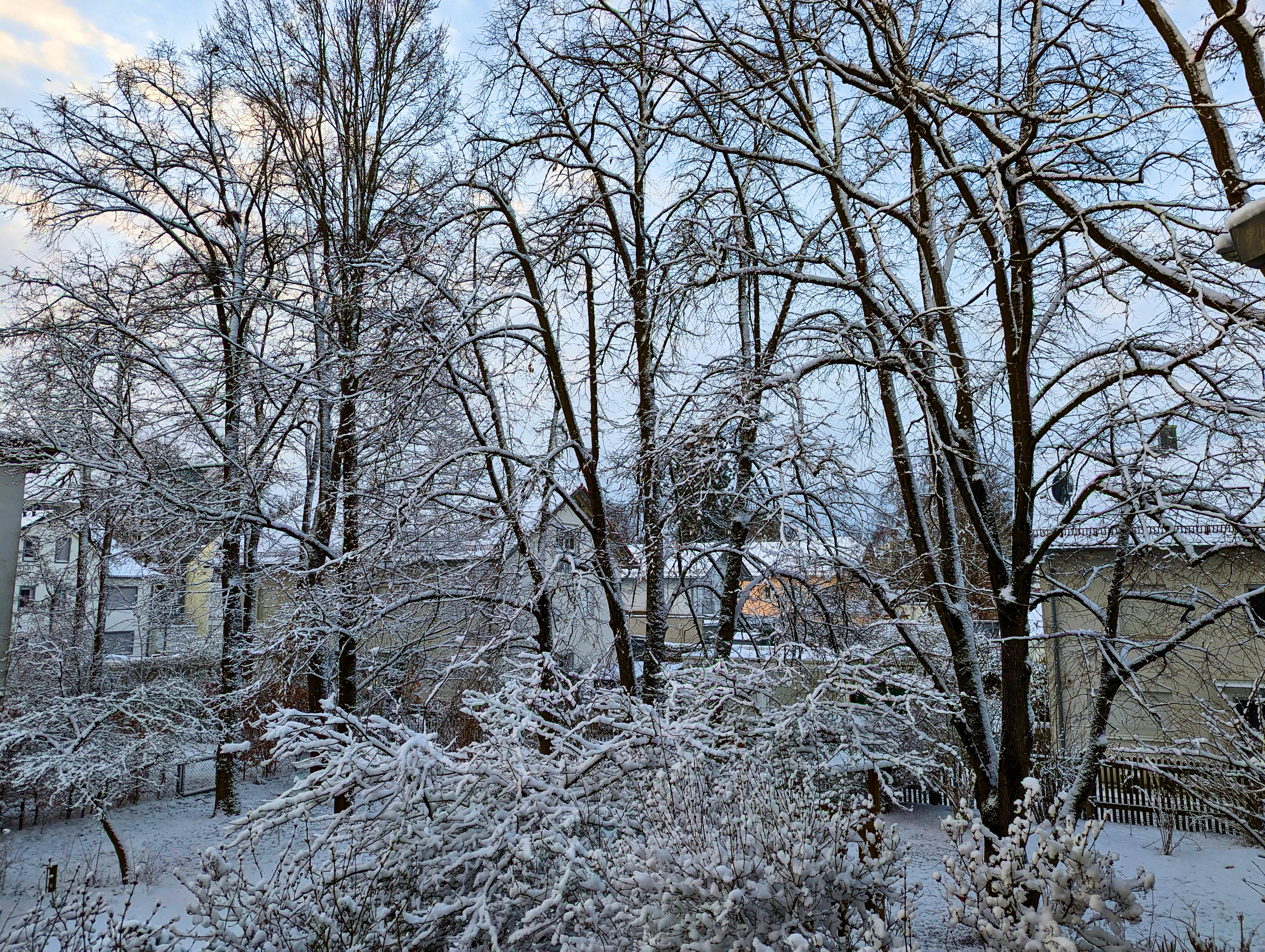 Neuer Schnee Ende Februar