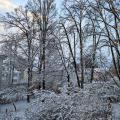 Neuer Schnee Ende Februar