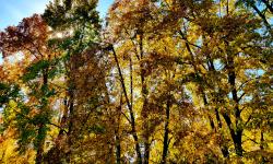 Featured image of post Noch mehr Herbst