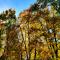 Noch mehr Herbst