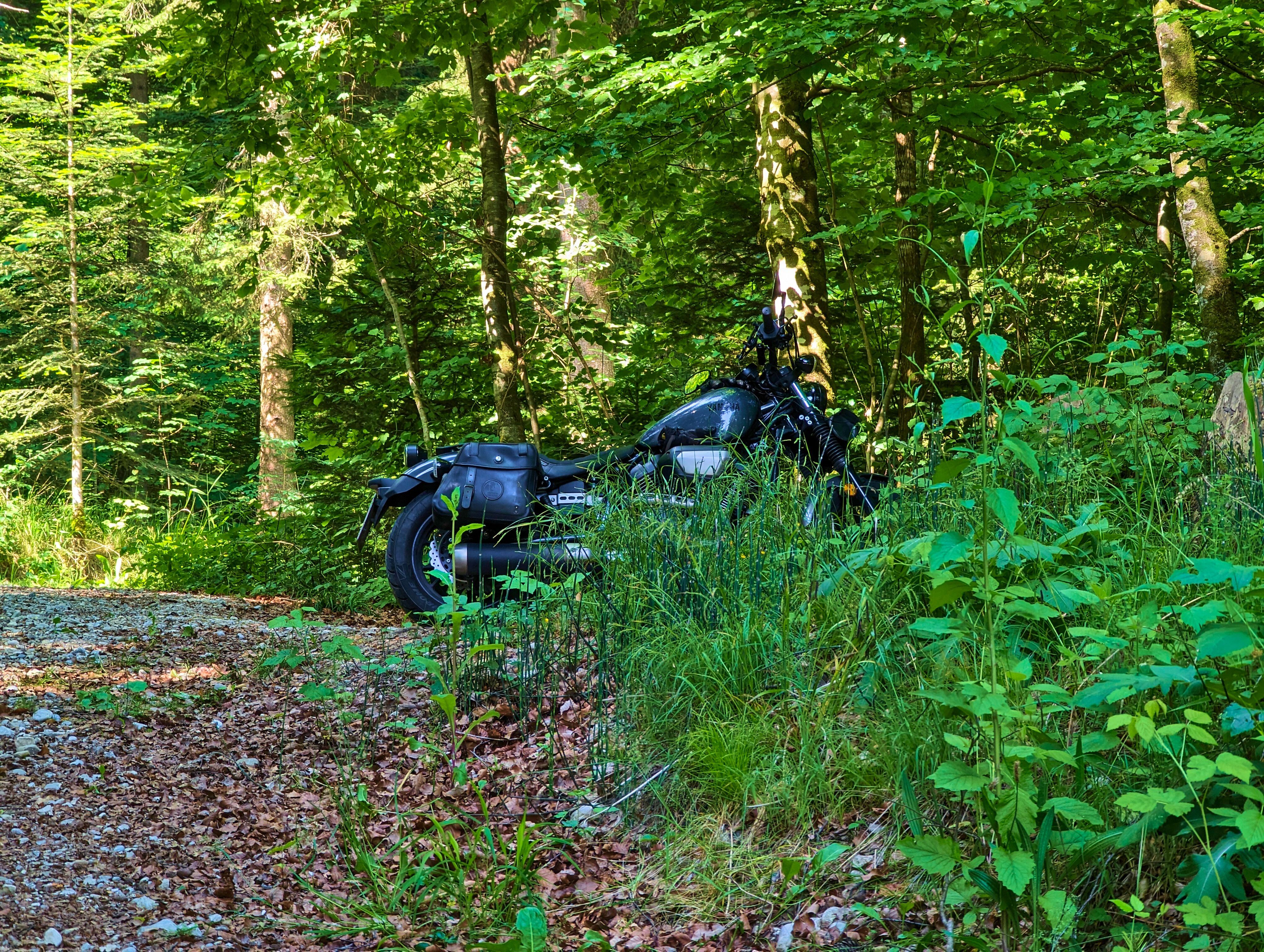 … sich ein paar Meter …