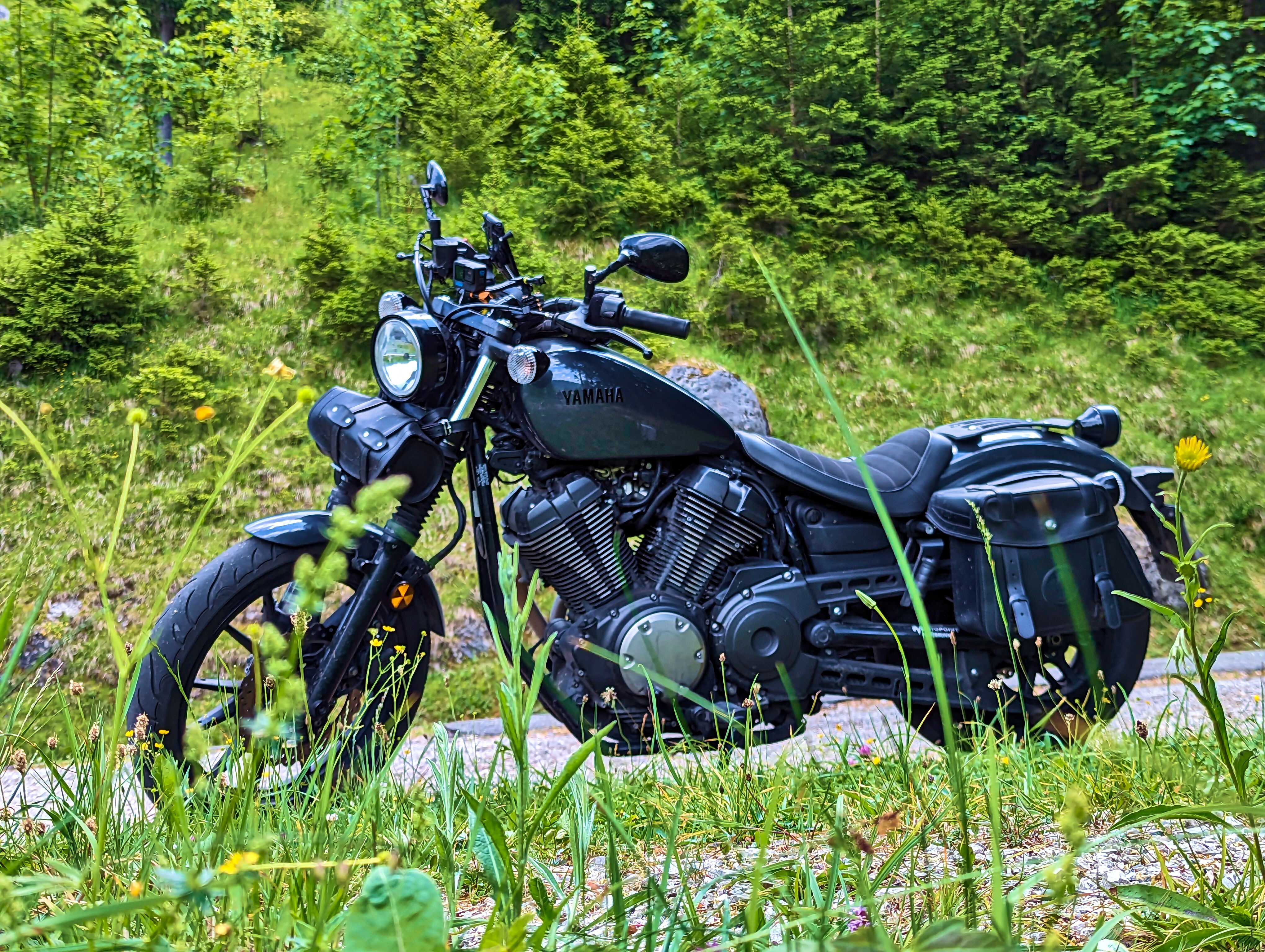 Fotostopp auf halbem …