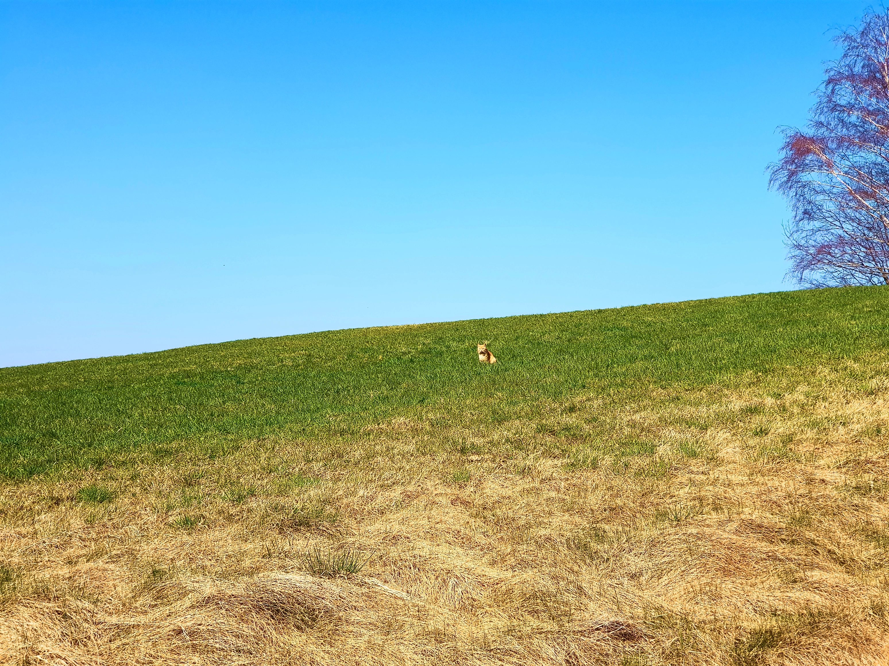 &hellip; dem Kameraden hier beobachtet.