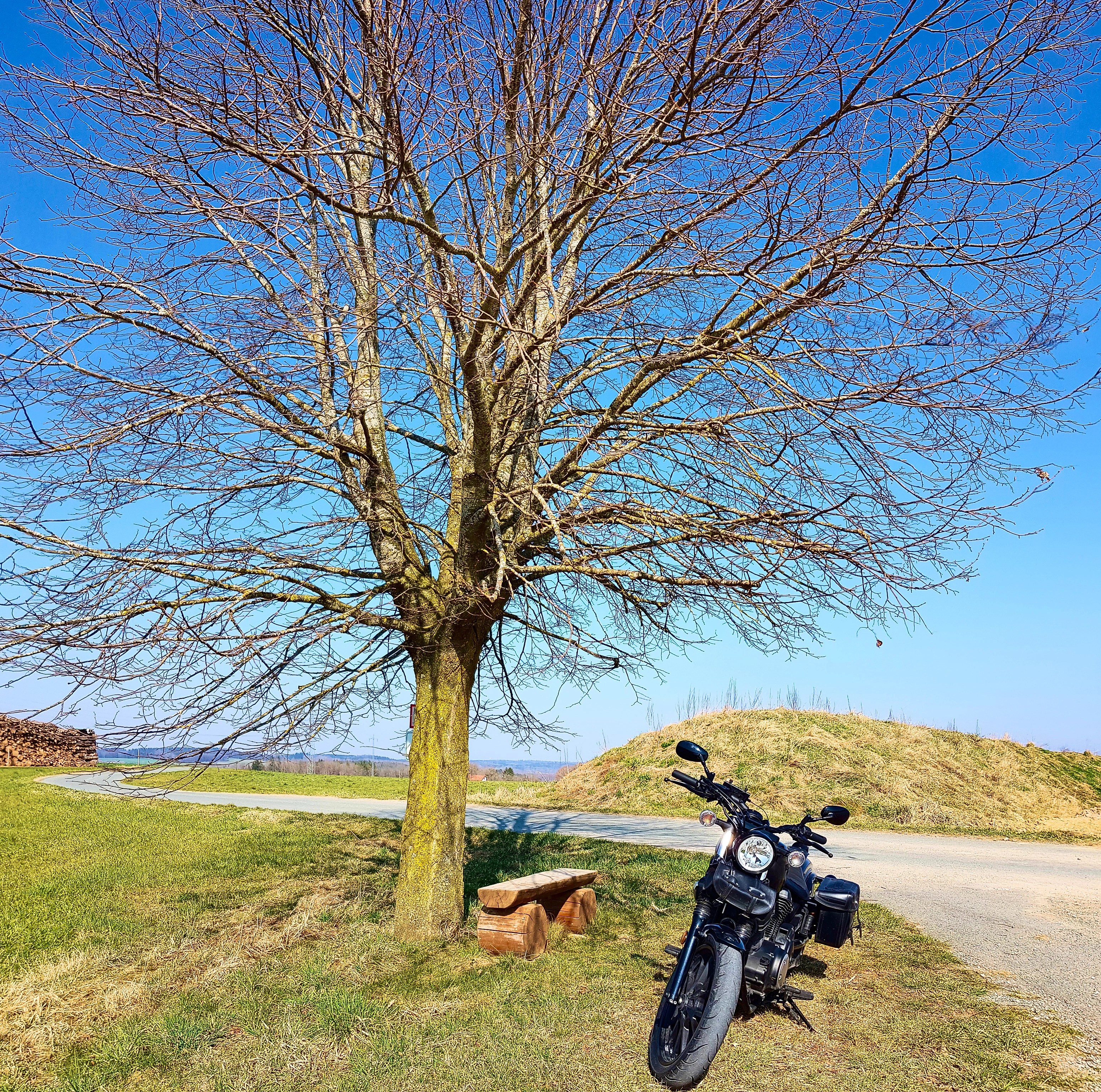 &hellip; kein Laub, &hellip;