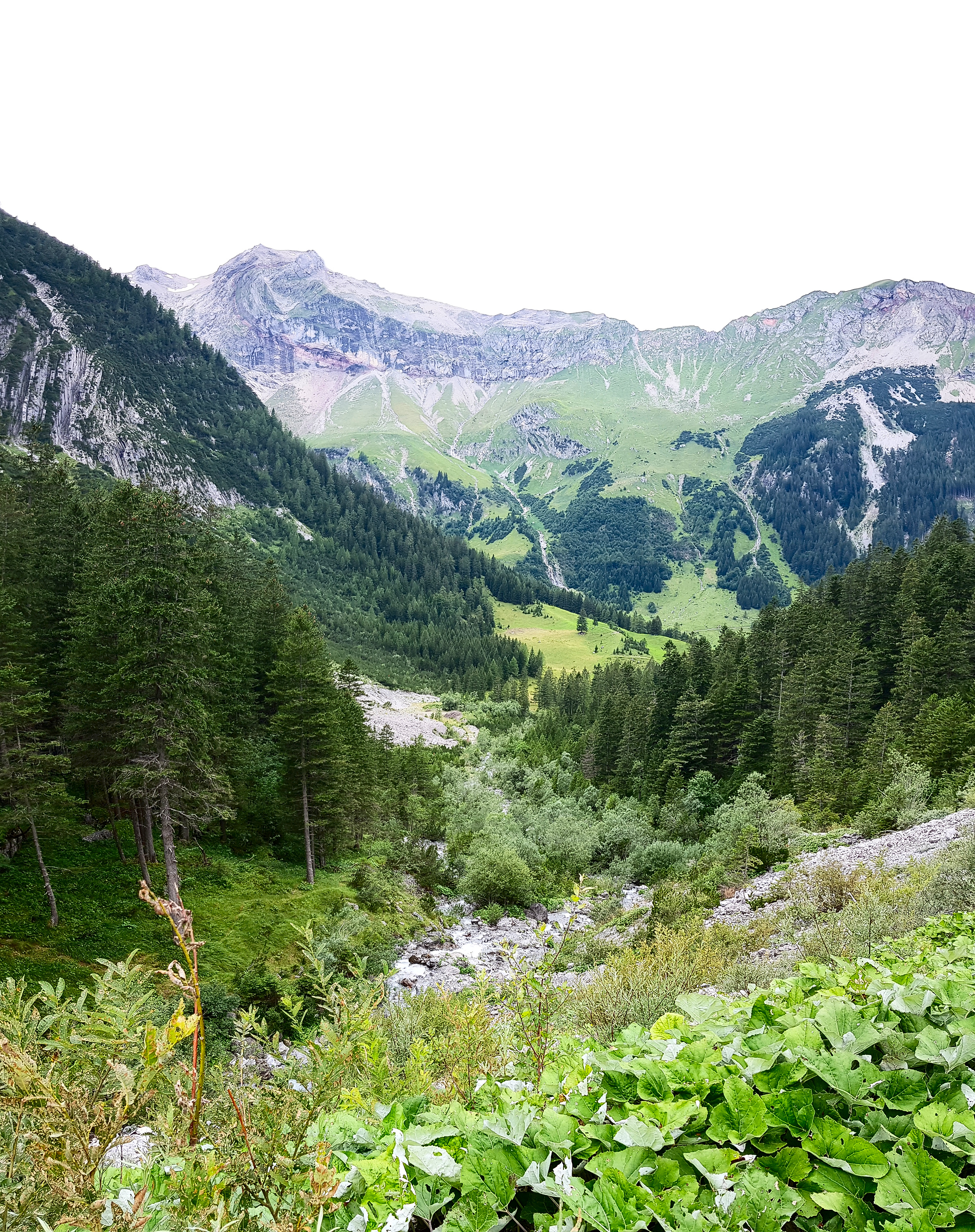 Ausblick Brandnertal