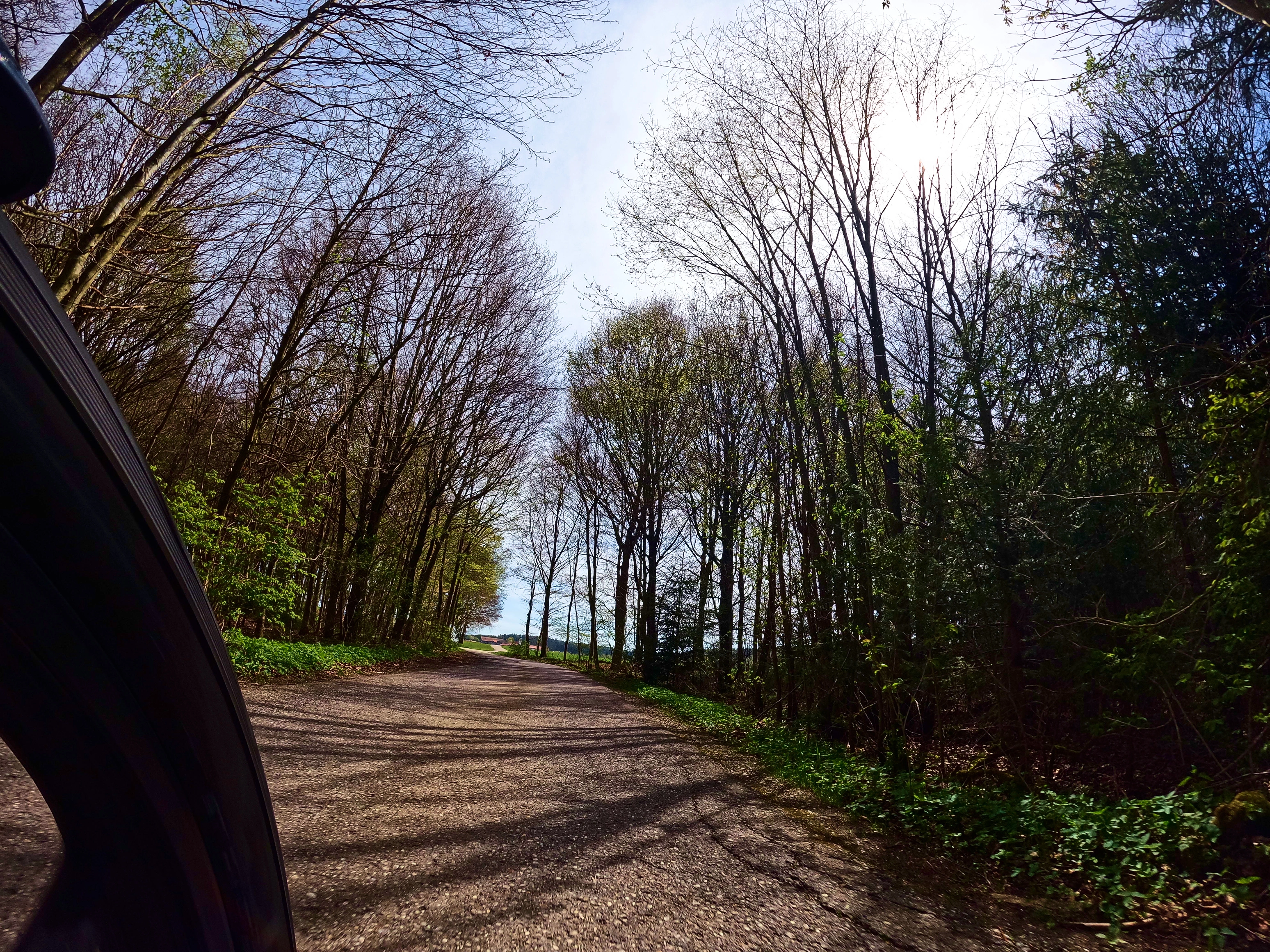 &hellip; durch den Wald &hellip;