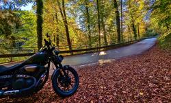 Featured image of post Von der Arbeit nach Hause im Oktober, südlich