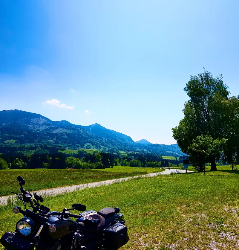 Featured image of post Warum in die Ferne schweifen, wenn das Gute liegt so nah?