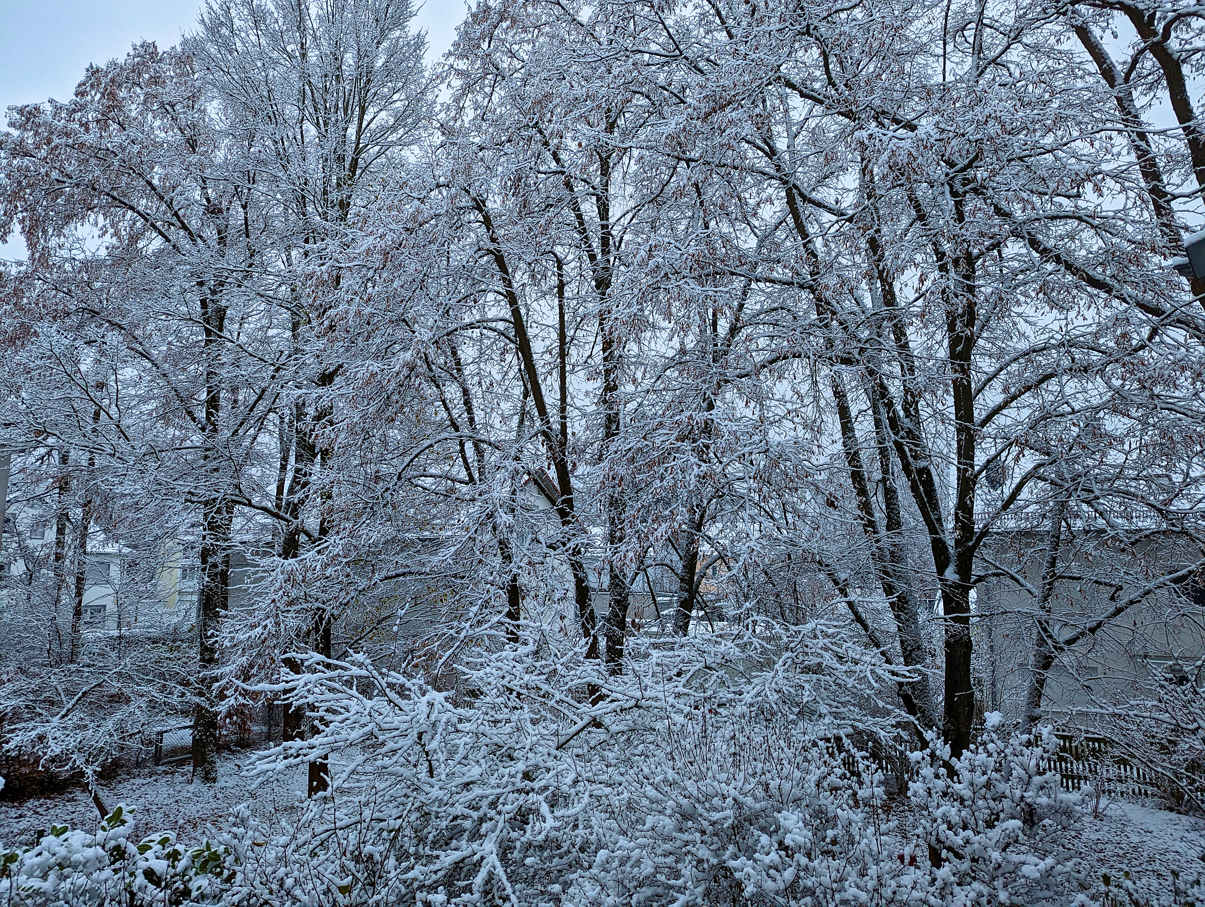 Der erste Schnee des Winters 2022 / 2023